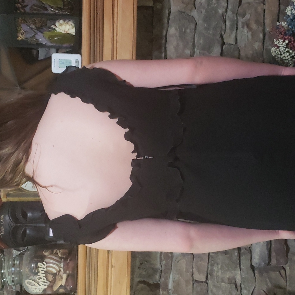 SALE⚡️ADRIANNA PAPELL SILK RUFFLE  SZ 10/12 READ - Picture 2 of 13